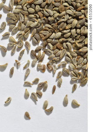 Parsley seeds Parsley seeds 6551090