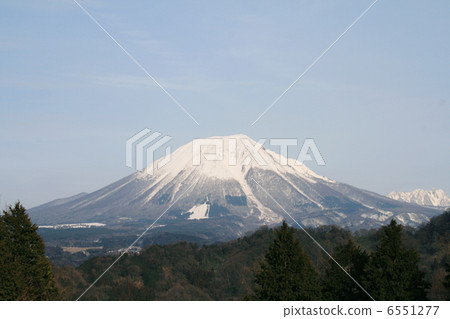 Winter Oyama Winter Oyama 6551277