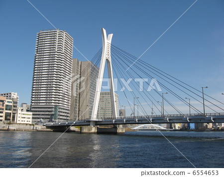 隅田川的中央大橋 隅田川的中央大橋 6554653