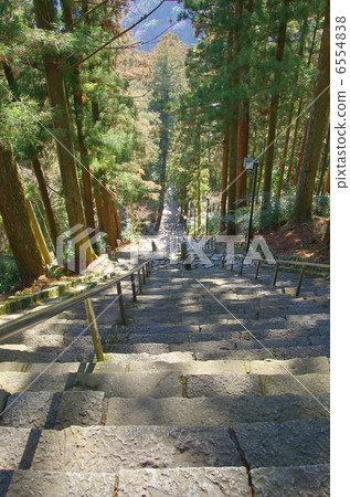 Kuonji Temple / Bodhi Ladder (Minobu Town, Yamanashi Prefecture) 6554838