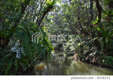 Bios Hill天然植物鑑賞設施 Bios Hill天然植物鑑賞設施 6556331