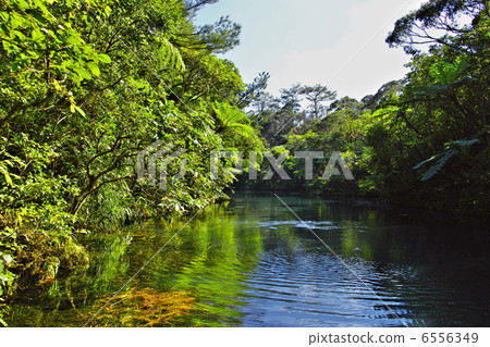 Bios Hill天然植物鑑賞設施 6556349