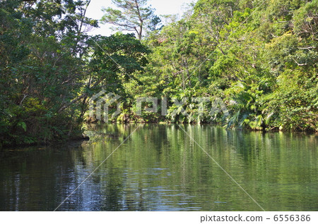 Bios Hill天然植物鑑賞設施 6556386