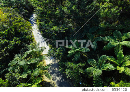 Bios Hill Natural Plant Appreciation Facility Bios Hill Natural Plant Appreciation Facility 6556420