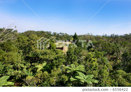 Bios Hill天然植物鑑賞設施 6556422