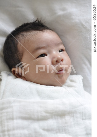 嬰兒 6556524