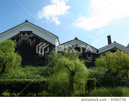 勞雷爾大倉紀念館和柳樹 6560736