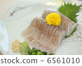 Squid 6561010