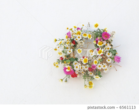 Lease of fresh flower found in Greece 6561113