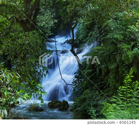 Waterfall in forest Waterfall in forest 6561145