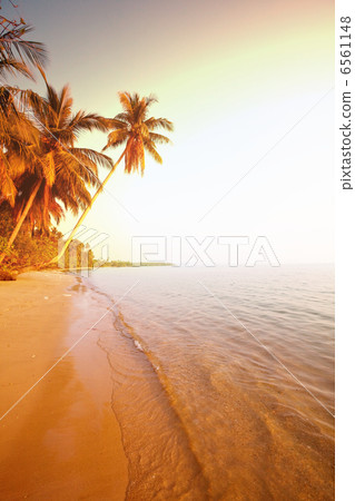 Tropical beach 6561148