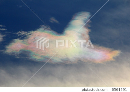 彩虹 彩虹 6561391