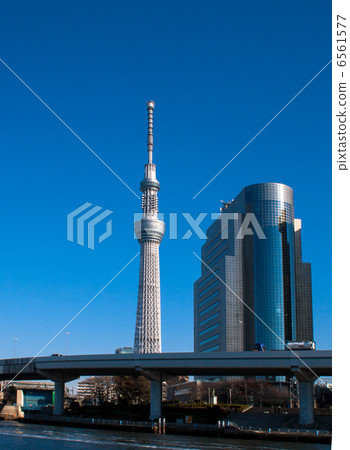 東京天空樹 6561577
