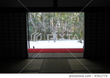 冬天花園在冬天 6561778