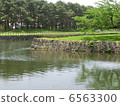 Hakodate Goryokaku Park 6563300