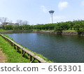 Hakodate Goryokaku Park 6563301