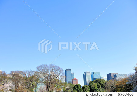 Sakura of the East Garden and office buildings of Marunouchi 6563405