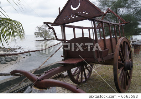 海邊大卡車 6563588