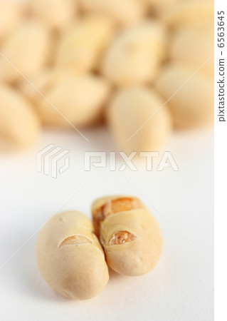 Fukuoka Fukuoka 6563645