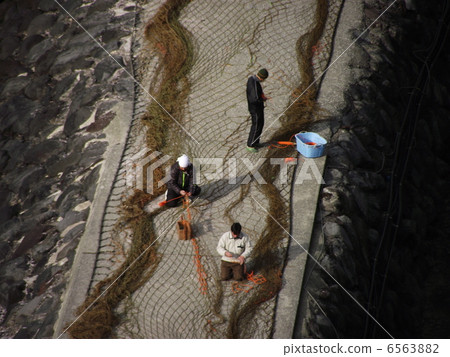 I am repairing the stationary net by total 6563882