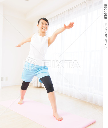 Fitness Fitness 6564066
