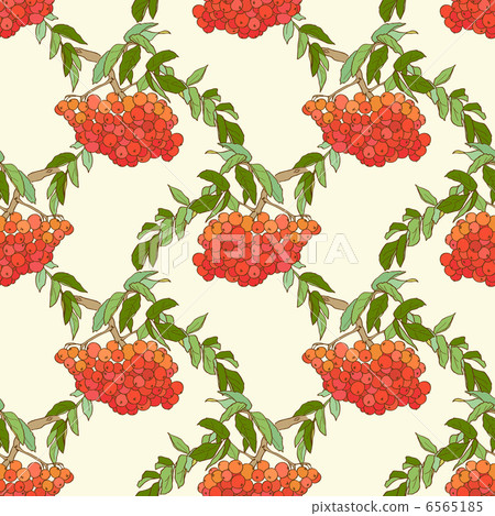 Rowan seamless 6565185