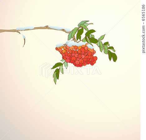 Background with rowan branch 6565186