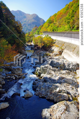 River 6565288