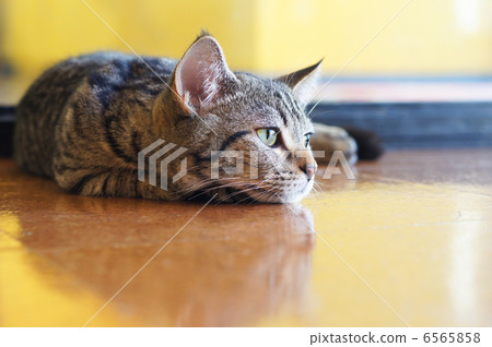 During break 6565858