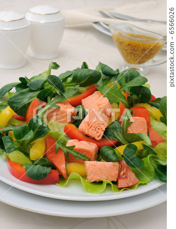 Vegetable salad with salmon Vegetable salad with salmon 6566026