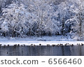 Winter Lake 6566460