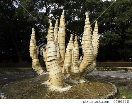 Como roll Como roll 6566528