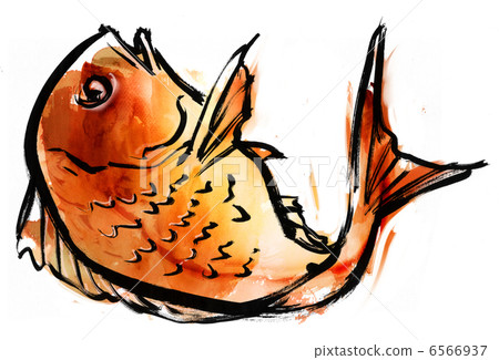  Red snapper 6566937