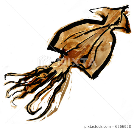 Squid Squid 6566938
