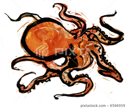 octopus octopus 6566939