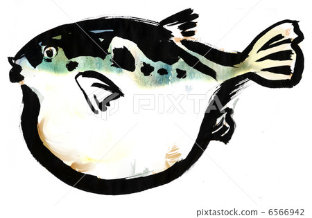 河豚魚 6566942