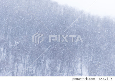 雪飛 6567123