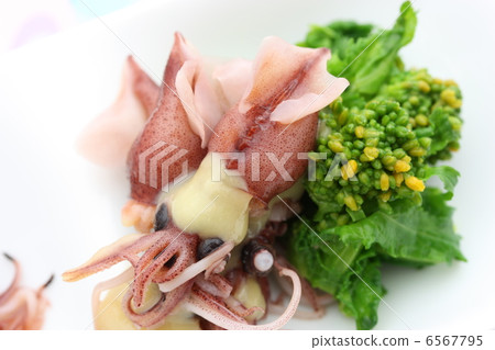Rape blossoms of firefly squid Rape blossoms of firefly squid 6567795