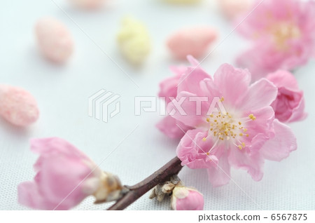 Material of Hina Festival Material of Hina Festival 6567875