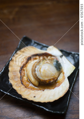 扇貝貝扇貝扇貝 扇貝貝扇貝扇貝 6567893