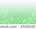 Image of plant 6568548