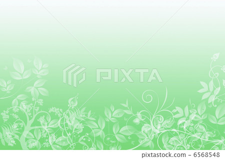 Image of plant 6568548