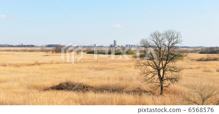 Watarase Seto Mizuki Reimuhara 6568576