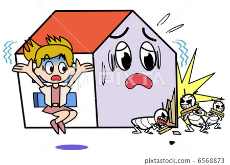 Termite damage 6568873