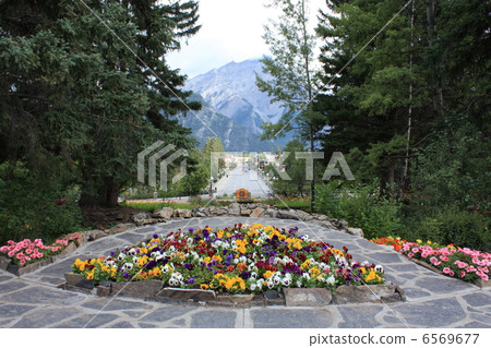 加拿大落基山公園 加拿大落基山公園 6569677