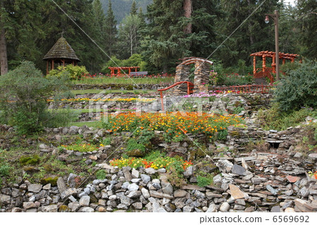 加拿大落基山公園 6569692