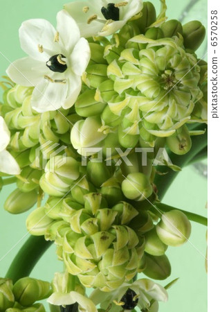 Ohnisogaram·桑德海 Ohnisogaram·桑德海 6570258