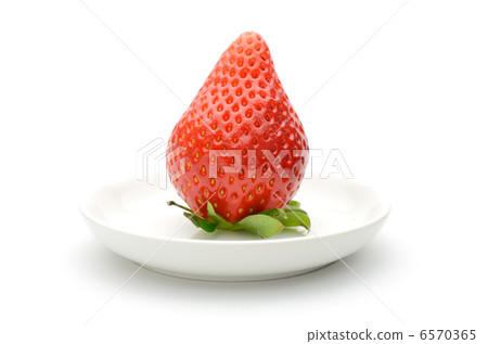 Ichigo單小板白背 6570365