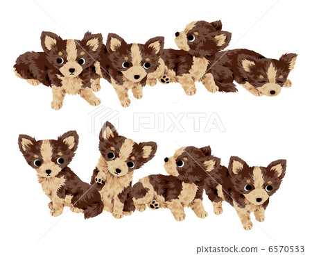 Cute dog Cute dog 6570533