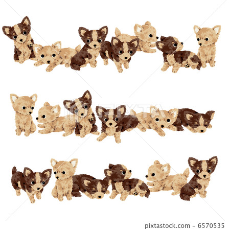 Cute dog Cute dog 6570535